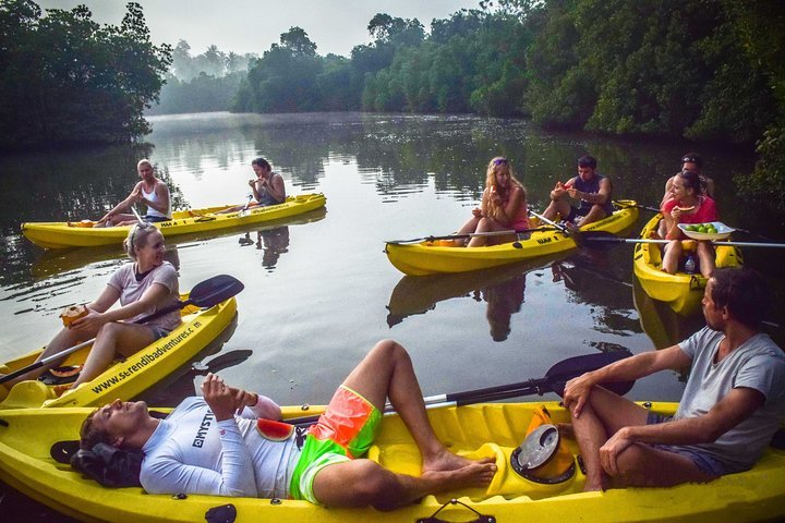 mangrove kayaking bentota